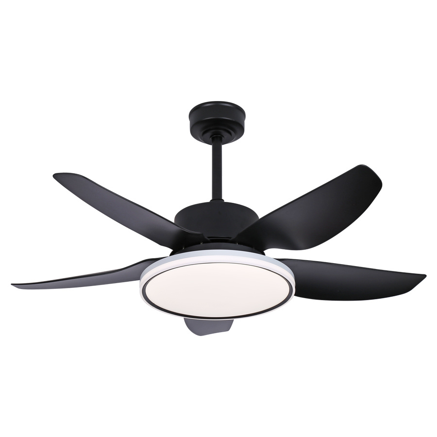 Straight blade fan-CT236 Black