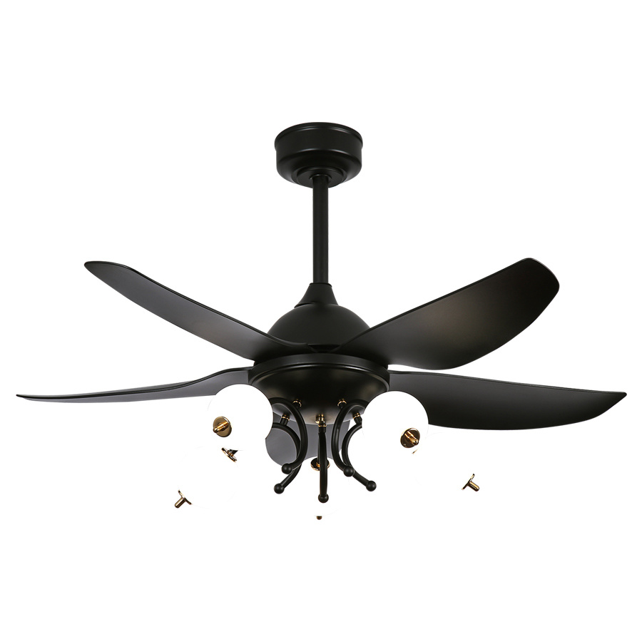 Northern European fan-CT230Black