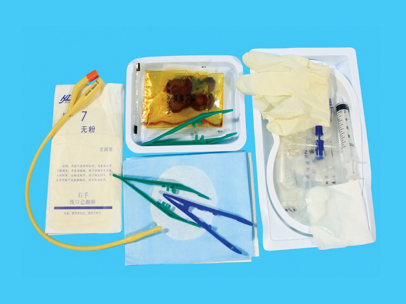 Disposable catheterization kit