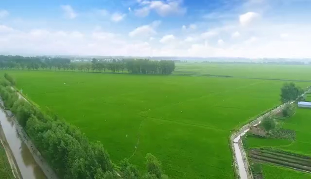 視頻標題 視頻標題