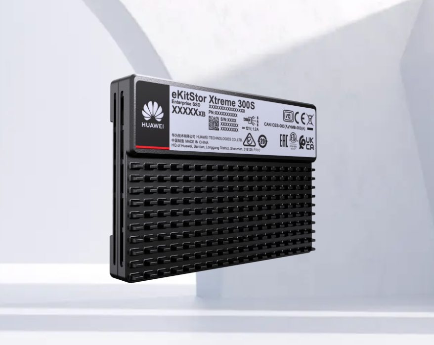 eKitStor Xtreme 300S 960GB SSD SAS硬盤單元