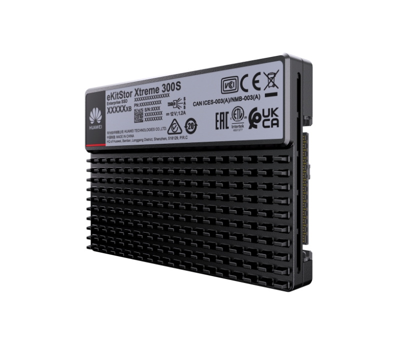 eKitStor Xtreme 300S 3.84TB SSD SAS硬盤單元