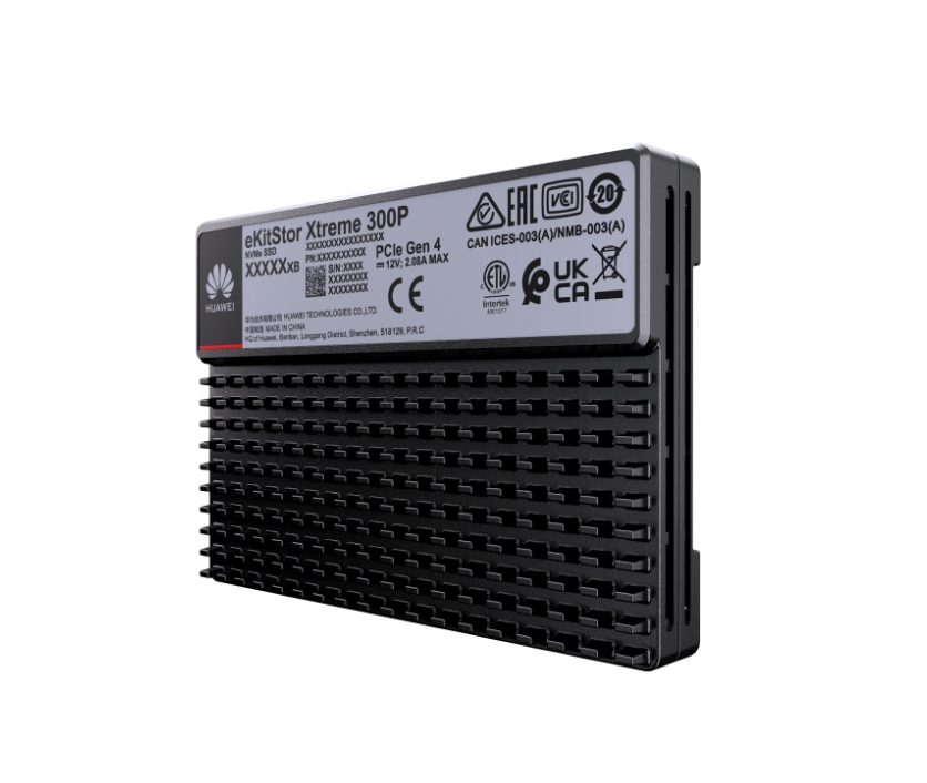 eKitStor Xtreme 300P PCIe 4.0 1.6TB SSD NVMe硬盤單元