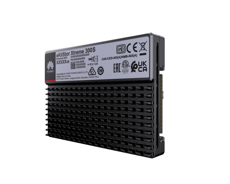 eKitStor Xtreme 300S 480GB SSD SAS硬盤單元