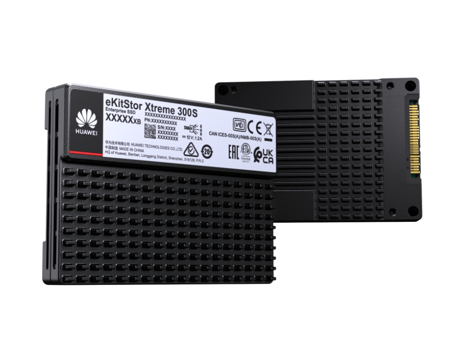 eKitStor Xtreme 300S 3.84TB SSD SAS硬盤單元