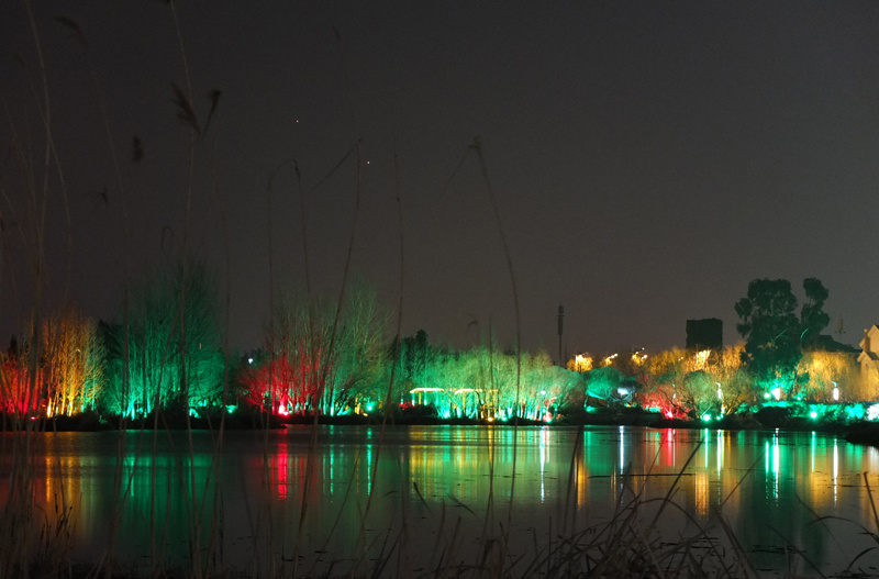 Dianchi Lake Yongchang Wetland Park