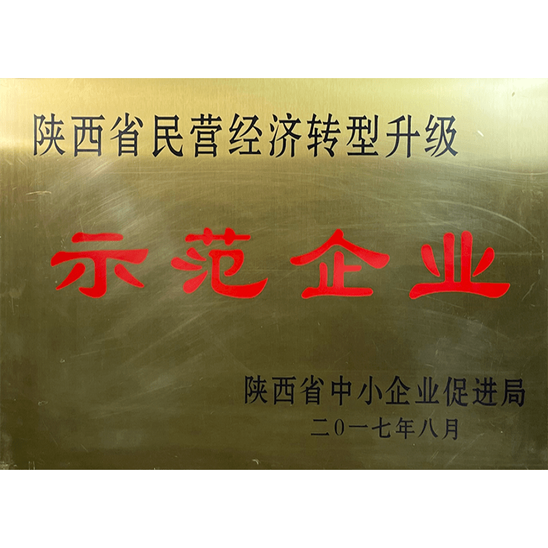 民營(yíng)示范企業(yè)