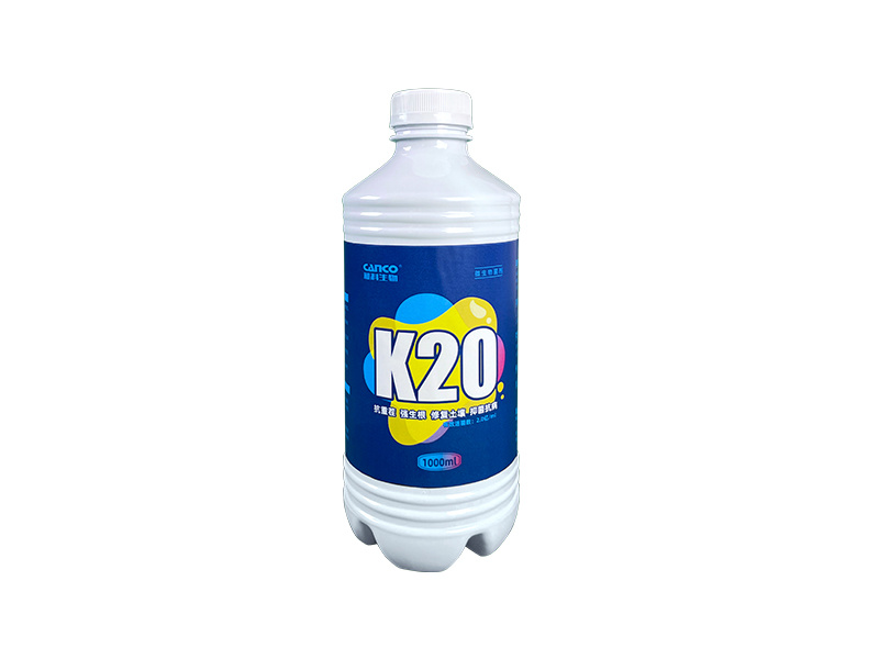 K20