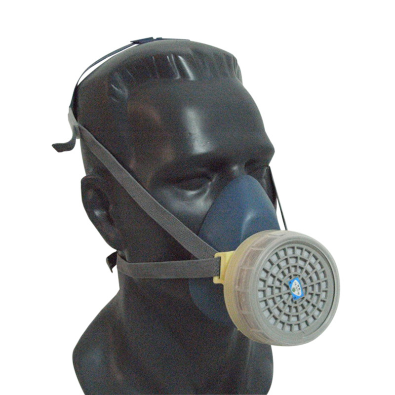 Paint gas mask