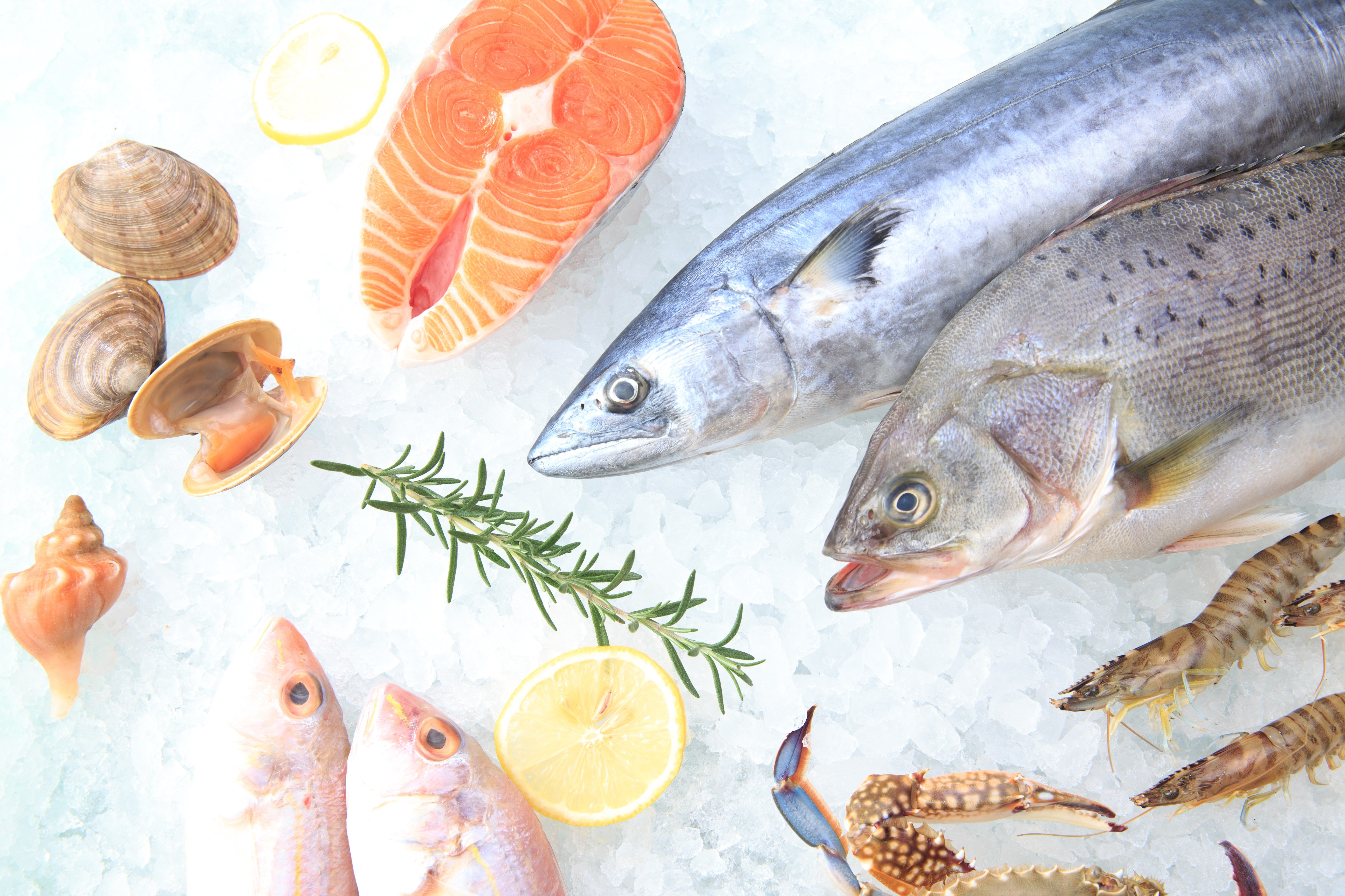 Seafood