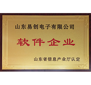 软件企业 软件企业