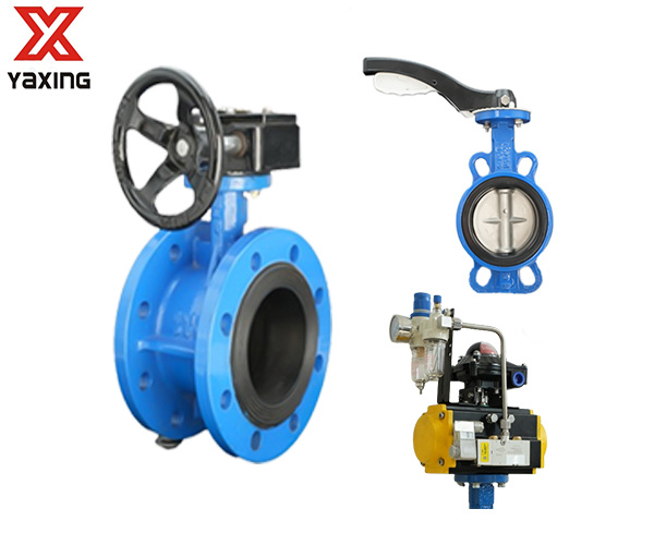 Butterfly Valve