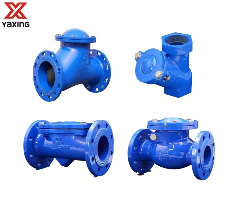 Check Valve