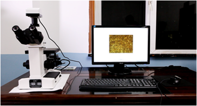 Metallographic Microscope