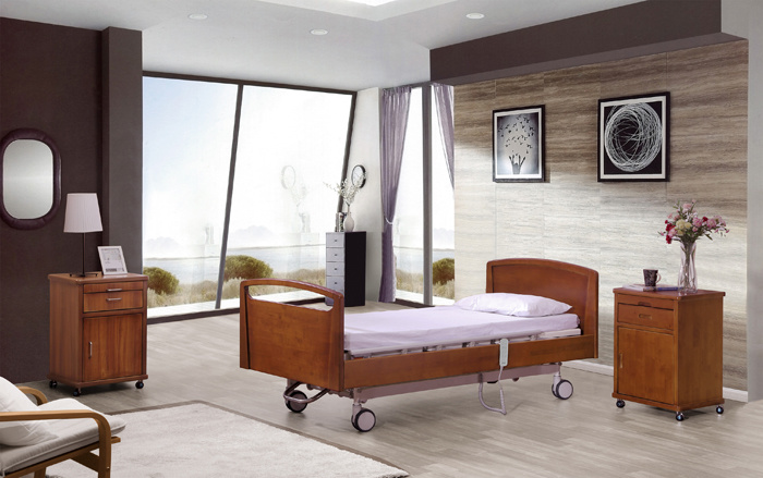 II-001 Wellness Electric Bed