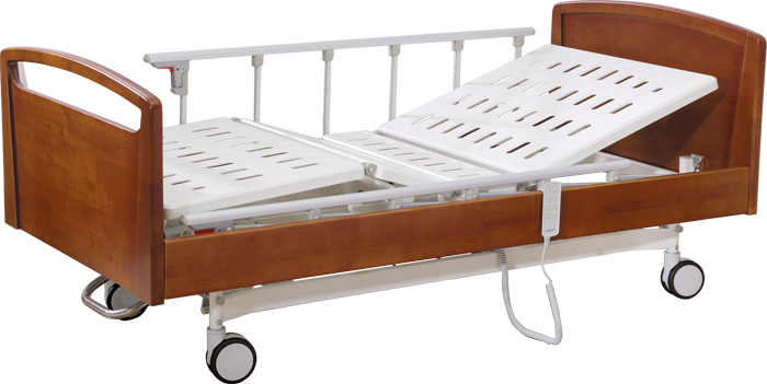 II-001 Wellness Electric Bed