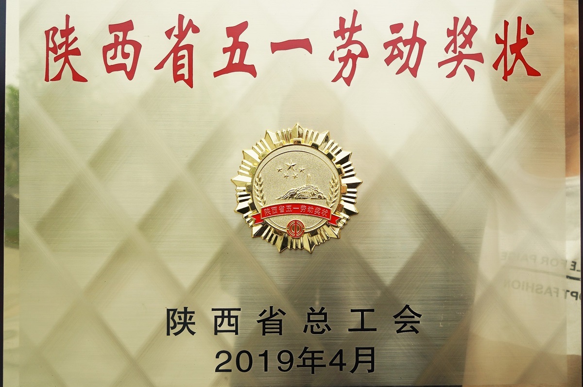 Our company won the May 1 Labor Award of Shaanxi Province