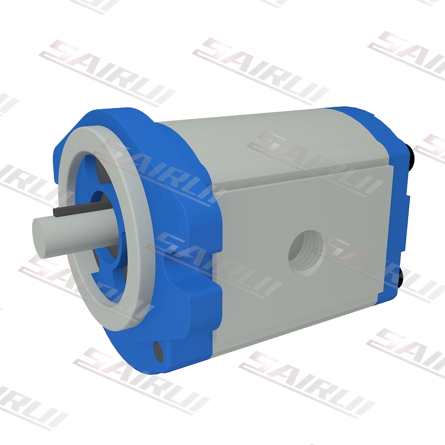 P02 PL01 Gear Oil Pump