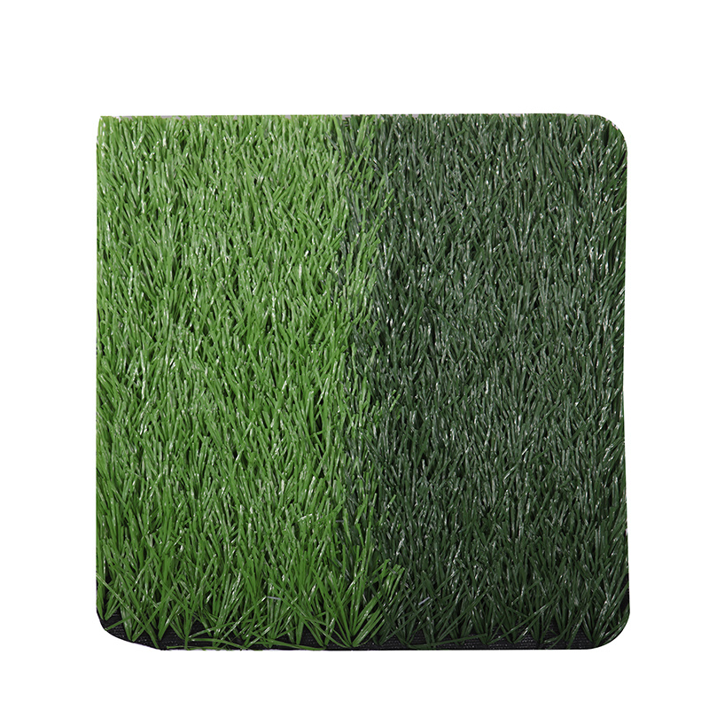 Lawn