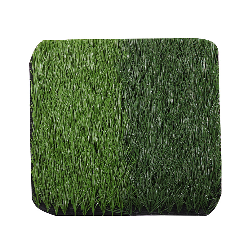 Lawn