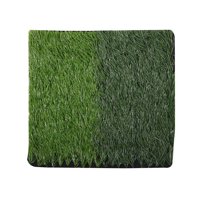 Lawn