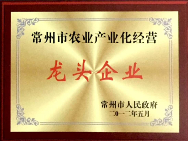 龍頭企業 龍頭企業
