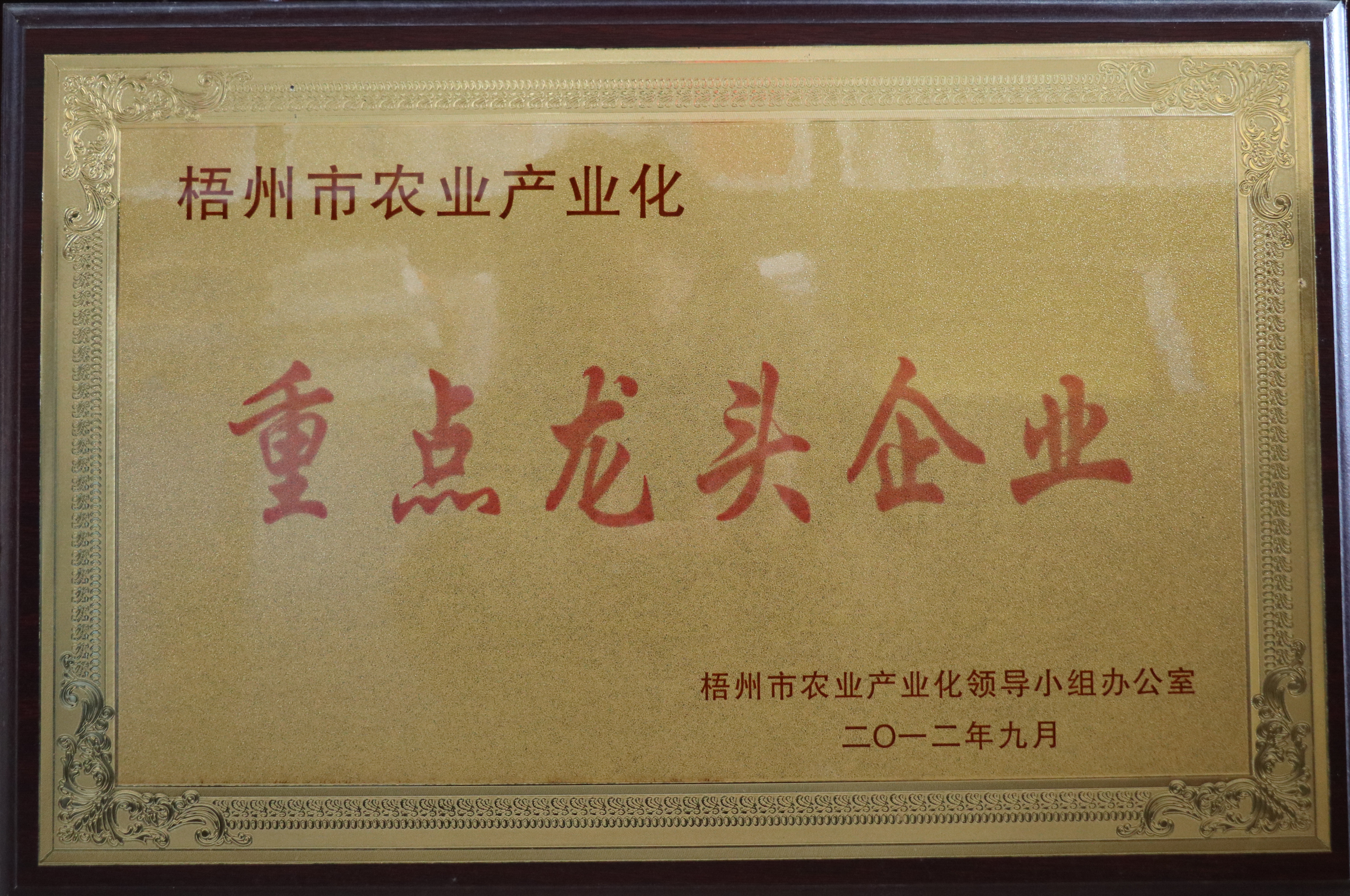 重点龙头企业 重点龙头企业