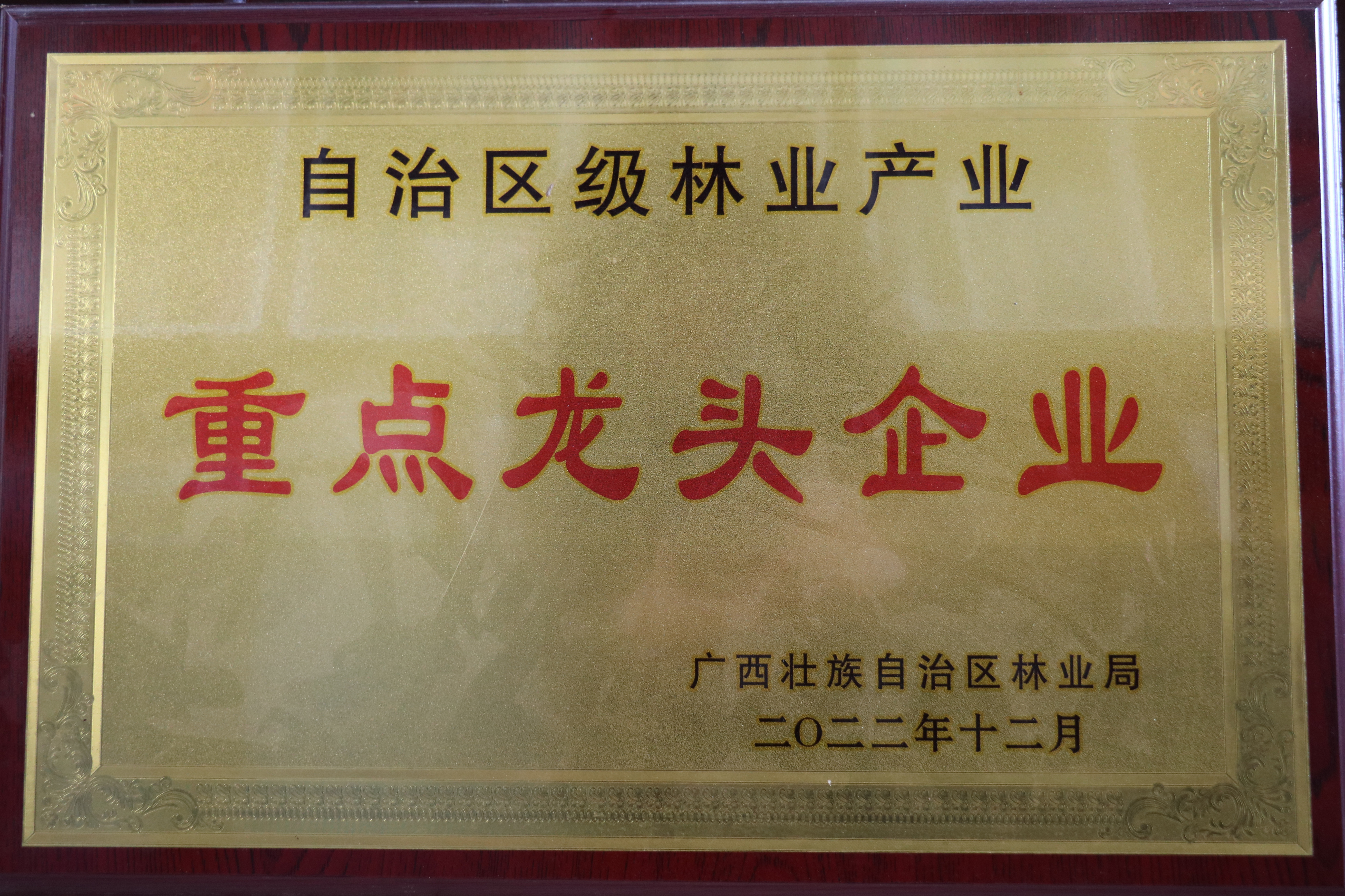 自治区重点龙头企业