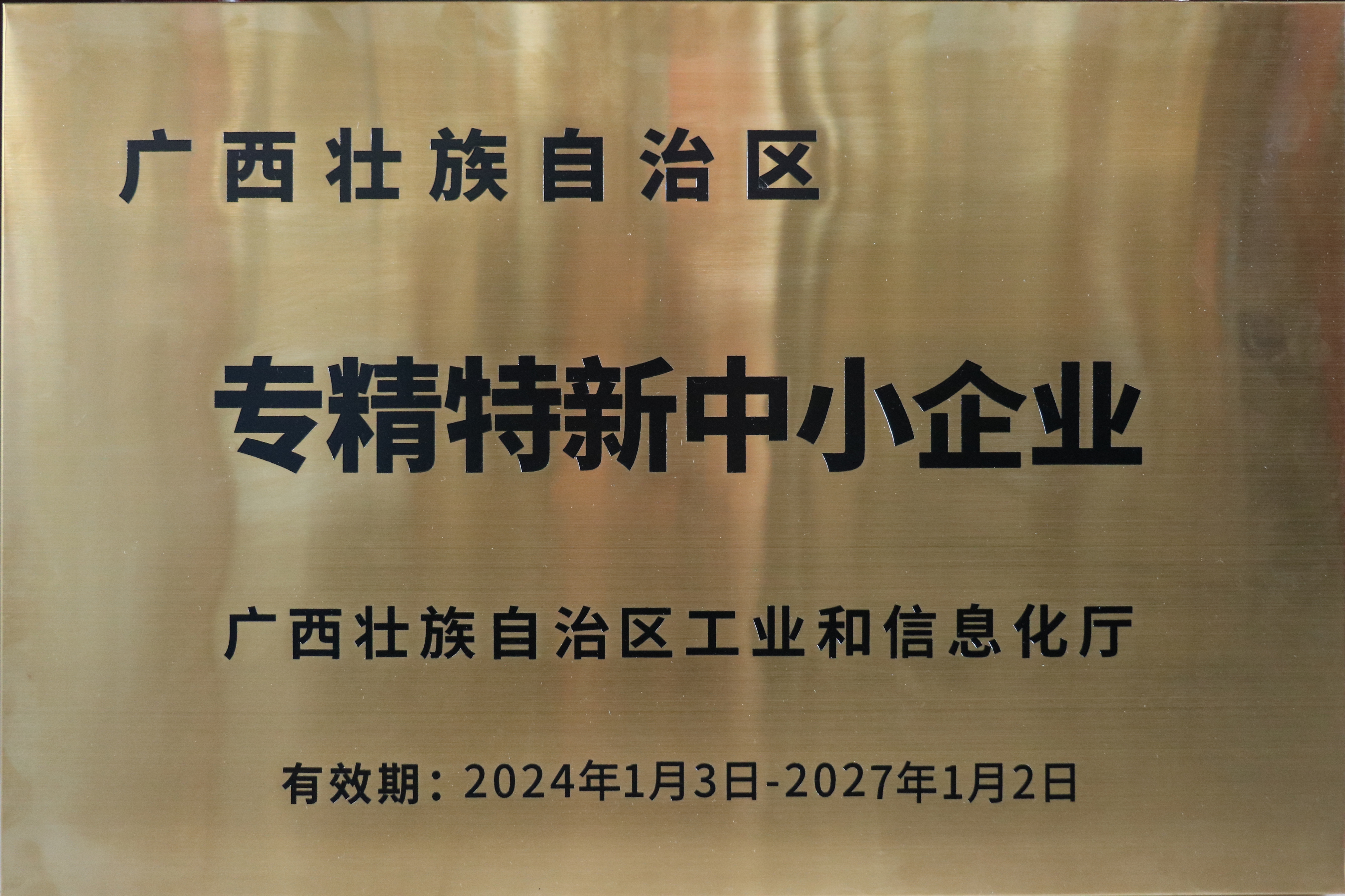专精特新中小企业 专精特新中小企业
