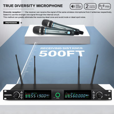 TD 2 Premium Diversity Vocal Wireless Microphone System Riworal