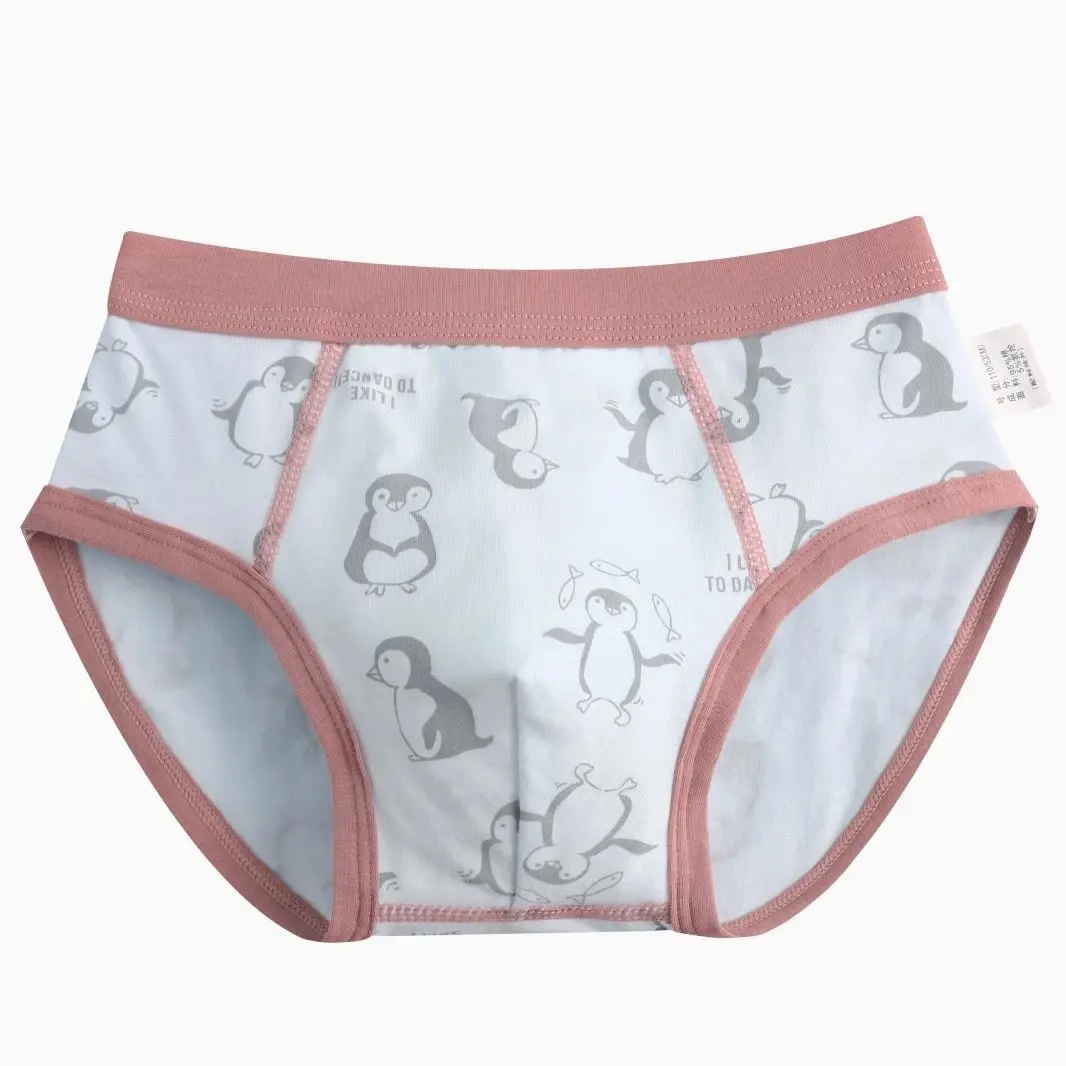 Boy’s Briefs