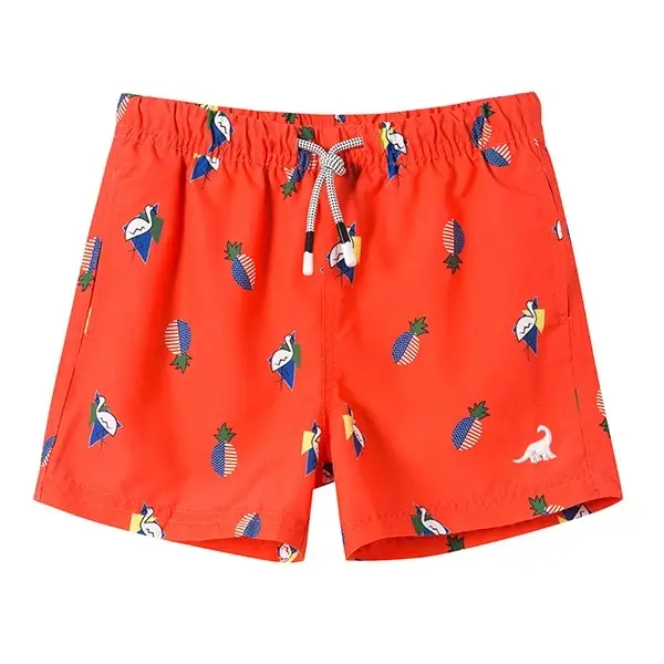 Swim Trunks Boy’s