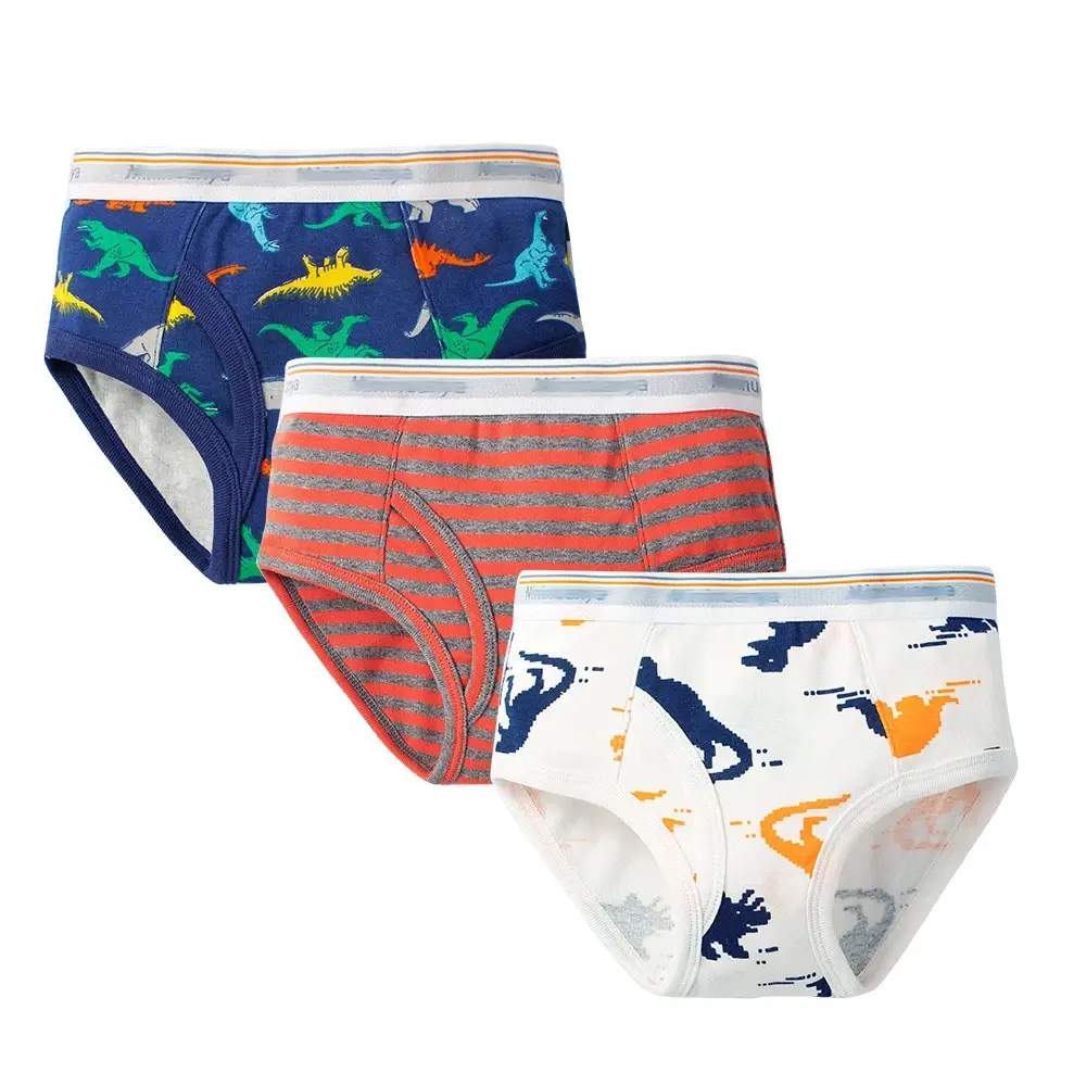 Boy’s Briefs