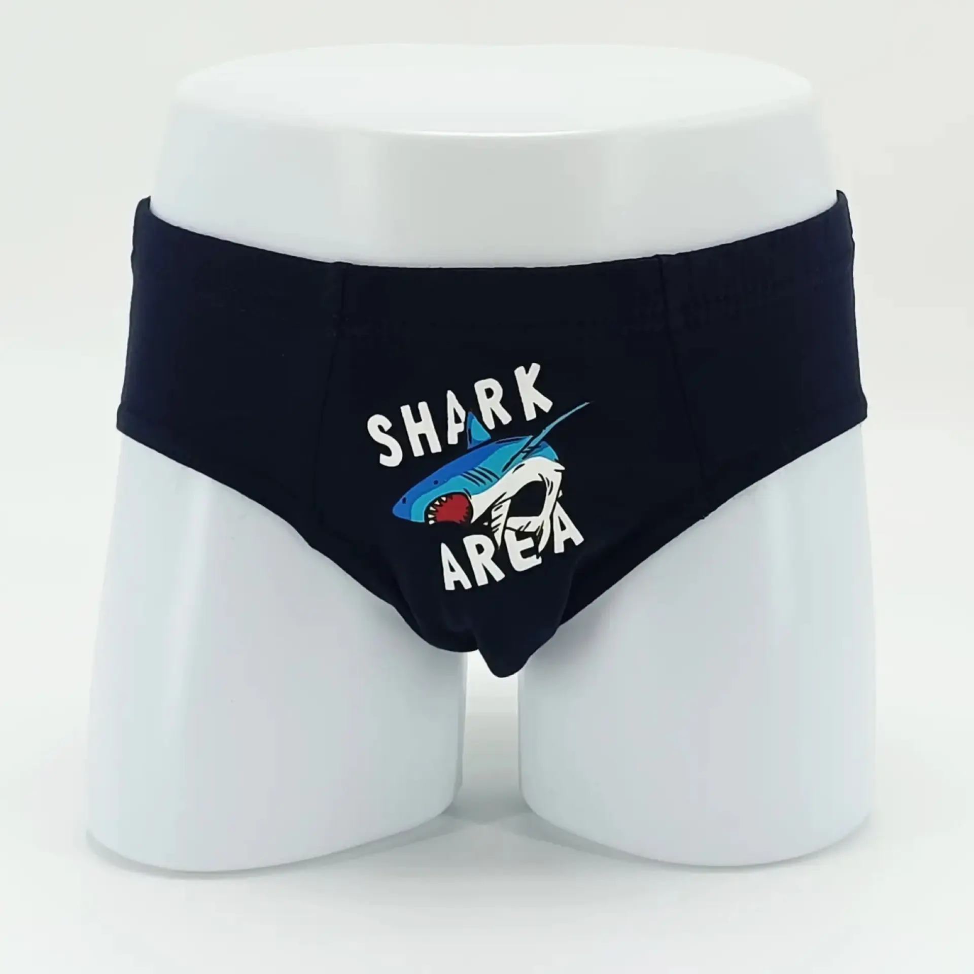 Boy’s Briefs