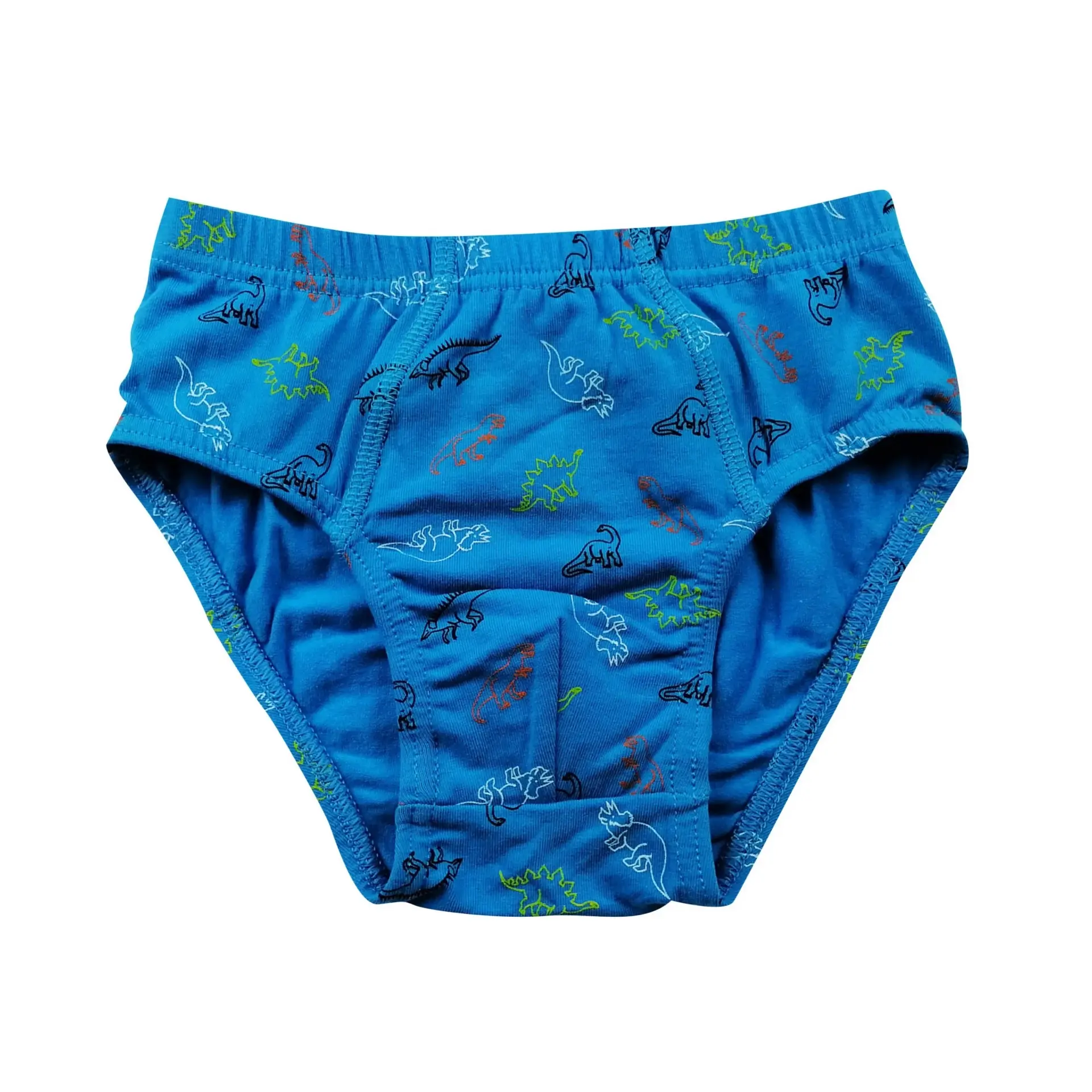 Boy’s Briefs