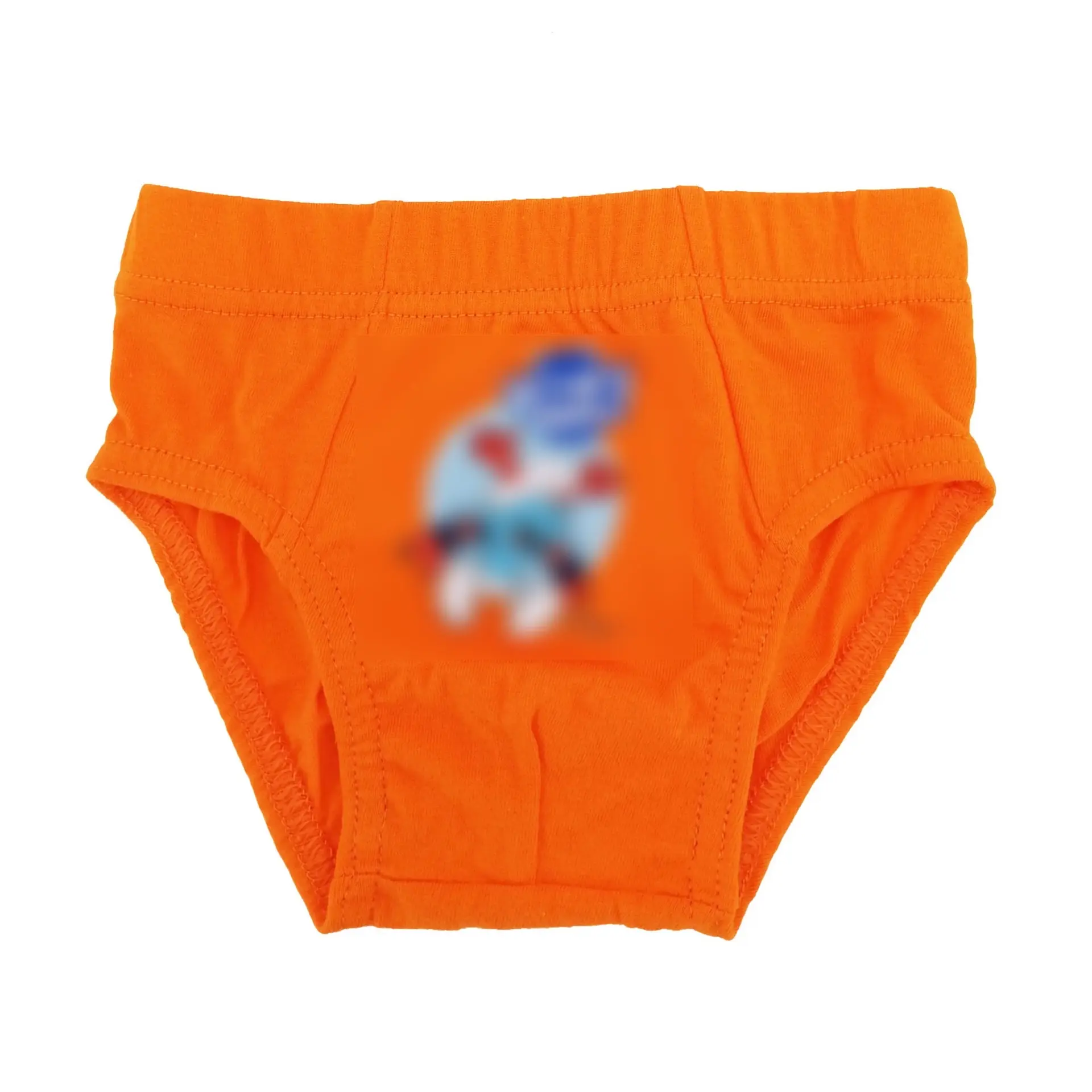 Boy’s Briefs