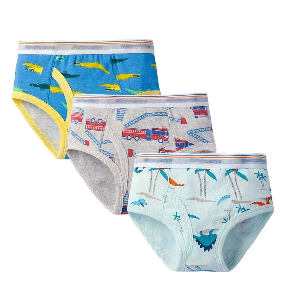 Boy’s Briefs
