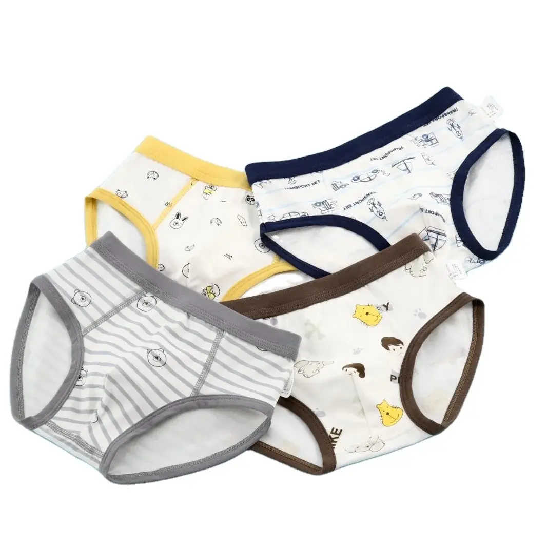 Boy’s Briefs
