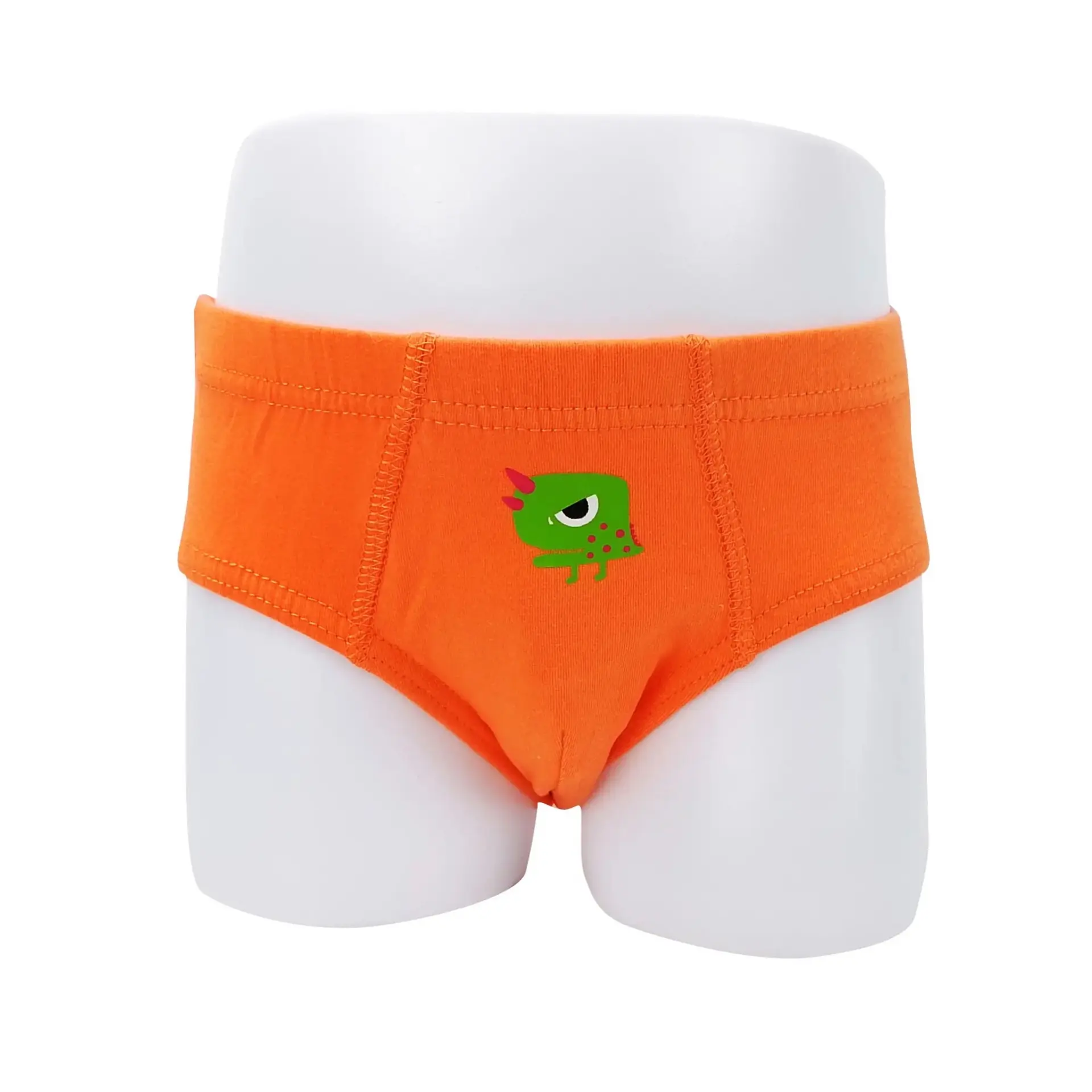 Boy’s Briefs