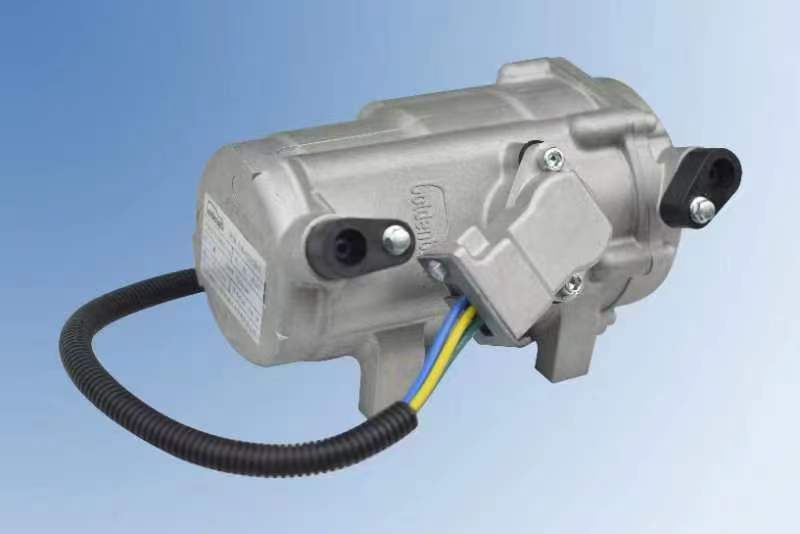 Scroll electric compressor for parking