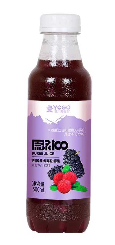 原漿100橙果肉+椰果 500ml