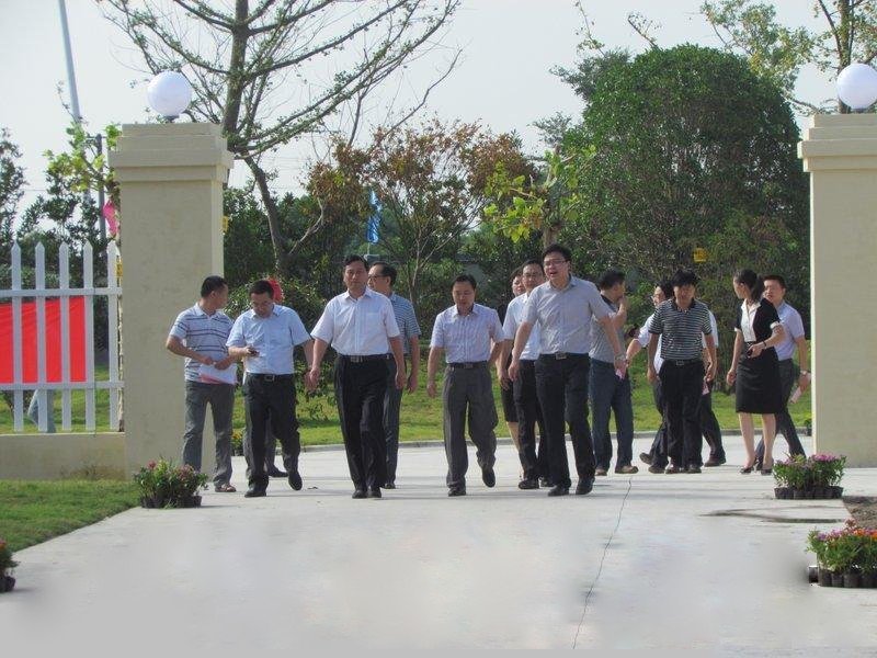  市领导视察江苏标龙大厦工地现场
