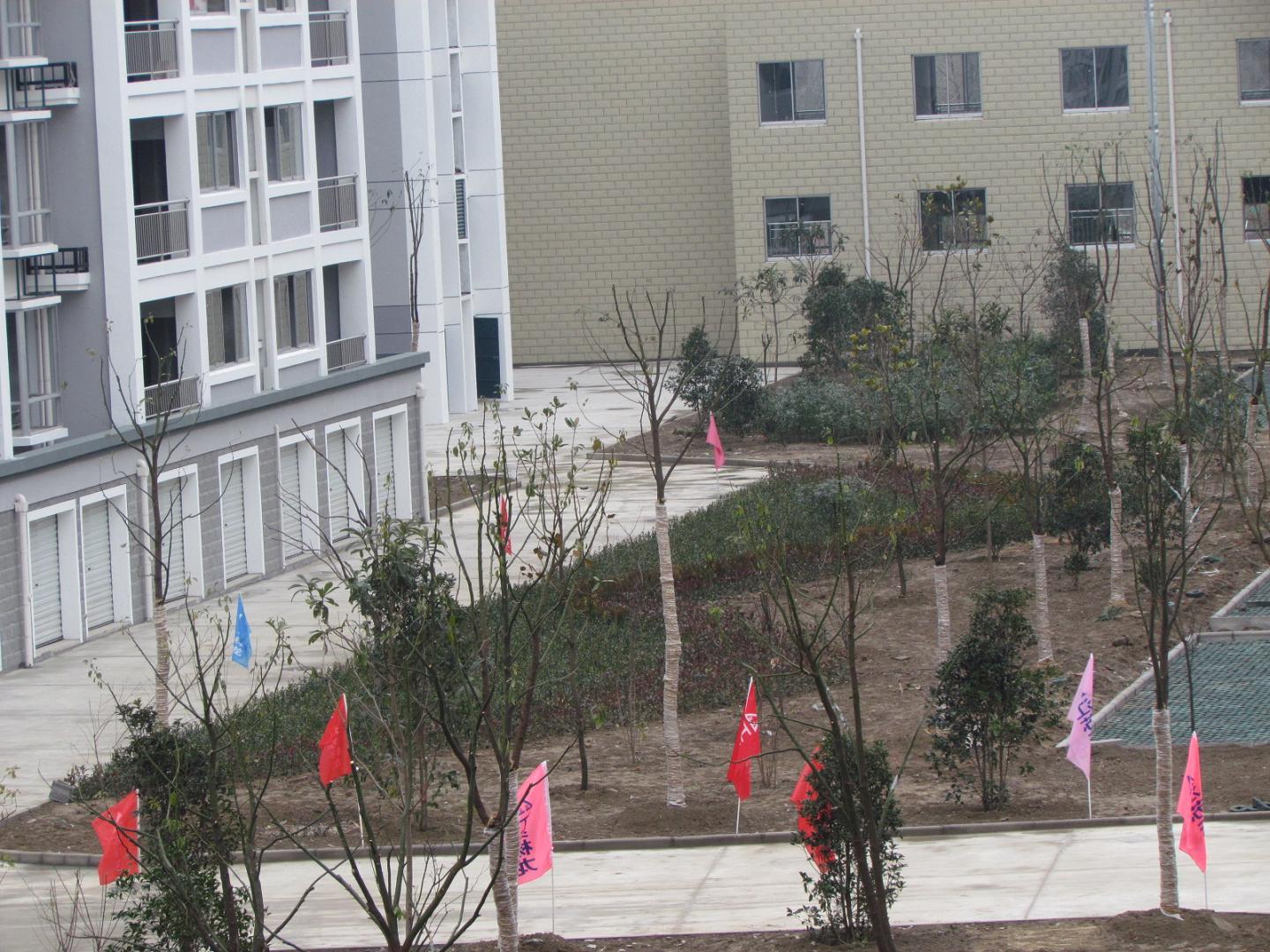 我公司承建的如皋软件园（桃园镇）集居区一期工程通过竣工验收