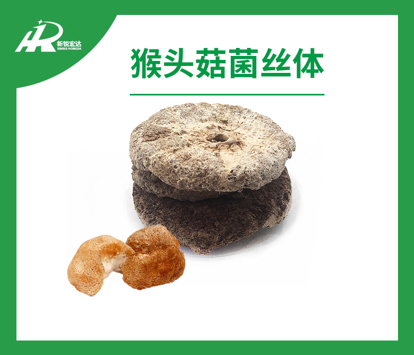 猴头菇菌丝体