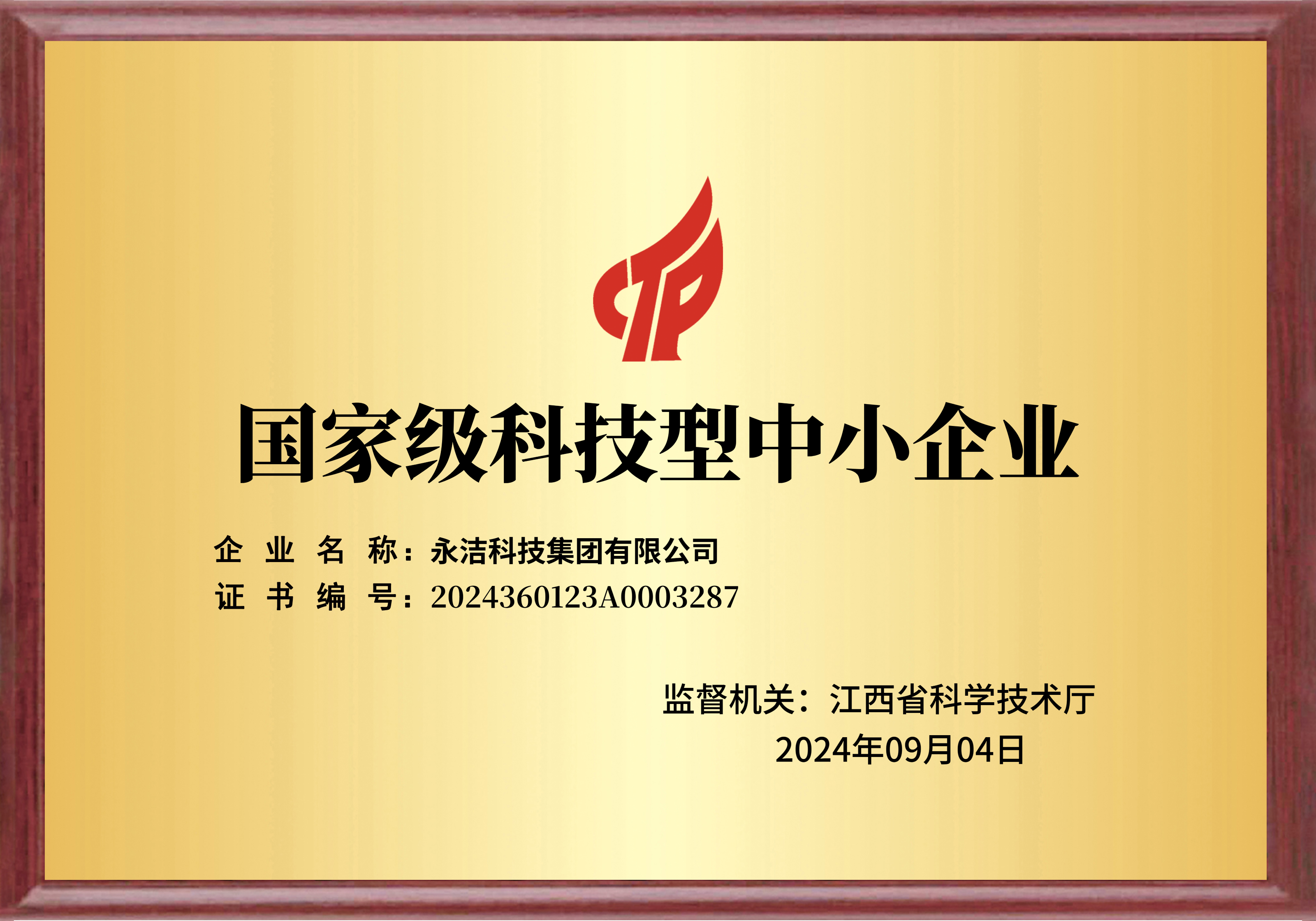 國家級科技型中小企業