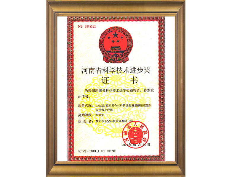 Henan Province Scientific Progress Award