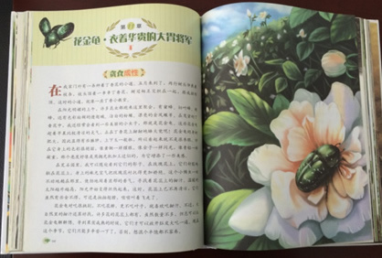 四川省康泰安全评价咨询有限责任公司