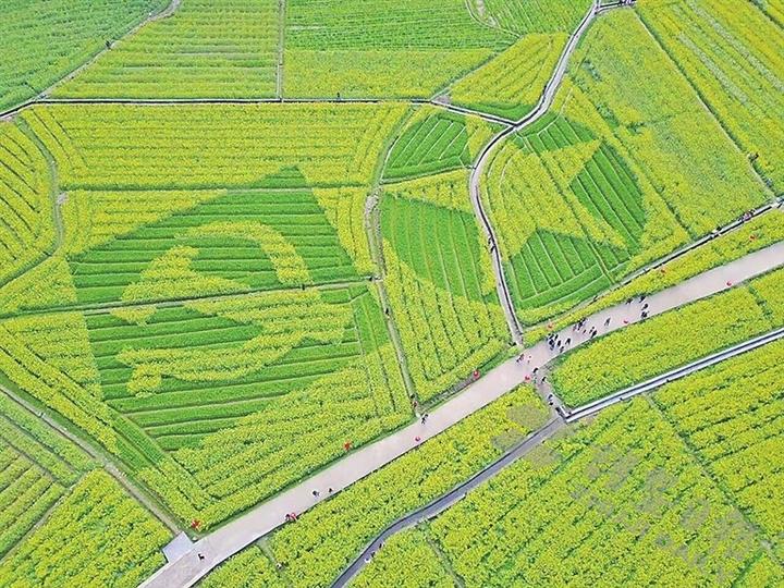 新華社等主流新聞媒體到宜春市萬載縣宣傳綠色種養循環農業試點工作