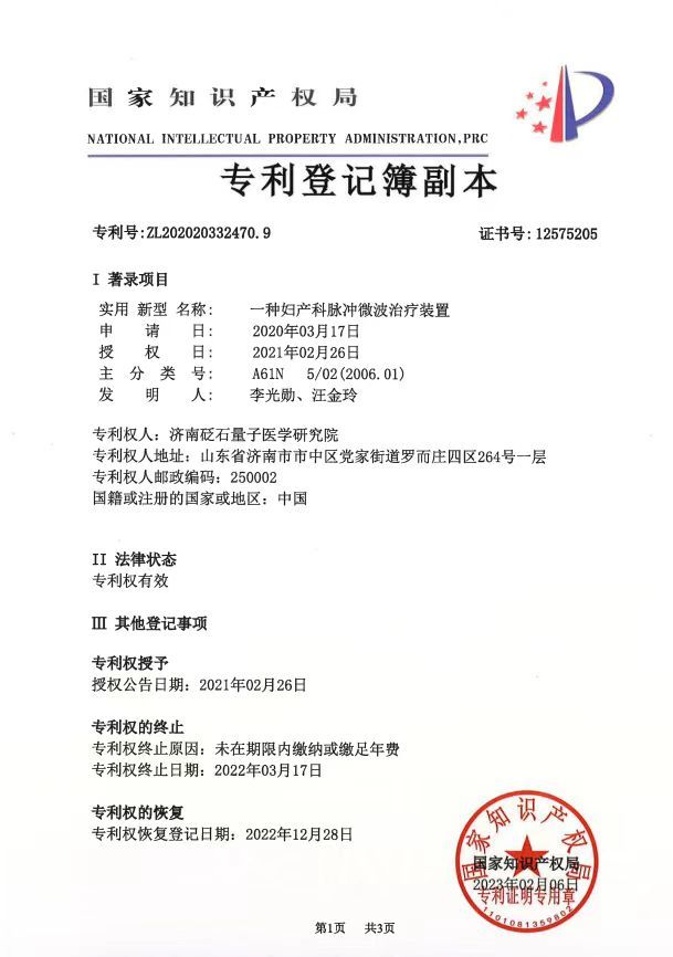 一種婦產(chǎn)科脈沖微波治療裝置