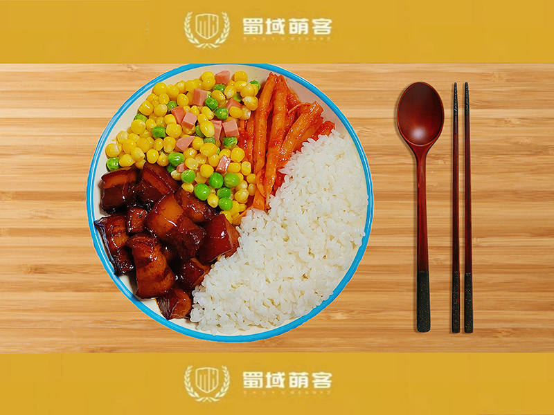 紅燒肉飯